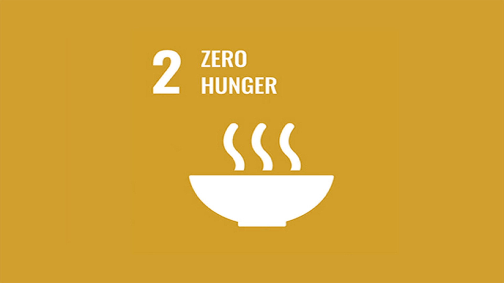 聯合國永續發展目標 2. 消除飢餓